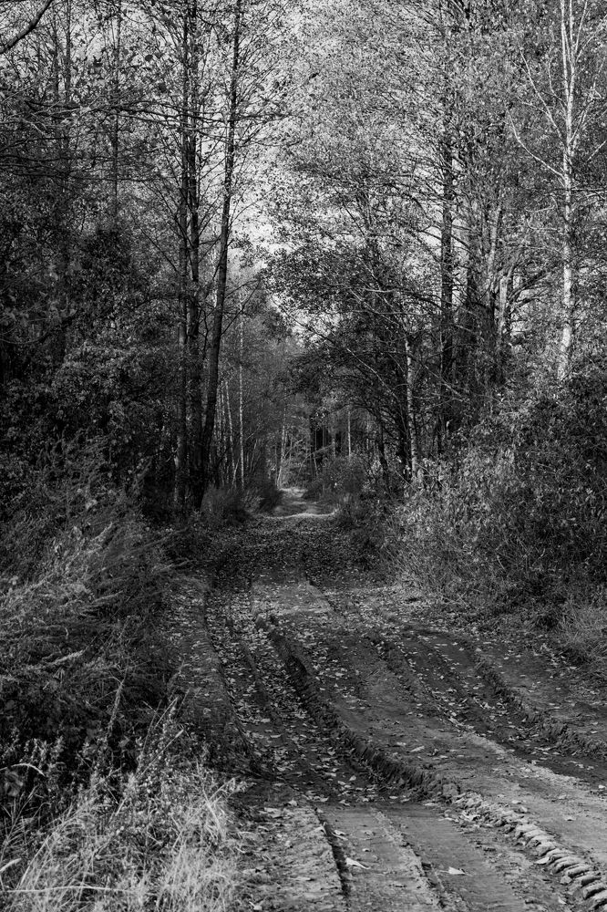 Photograph by Иван Полиненко