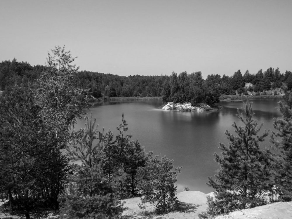 Island in a chalk quarry