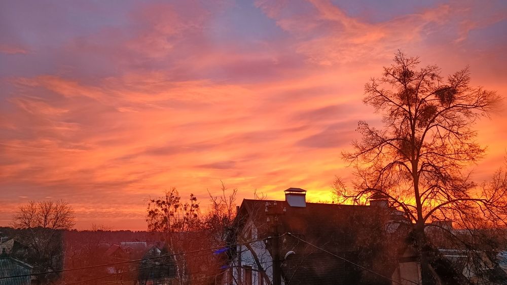 Photograph by Антонина Ягущина