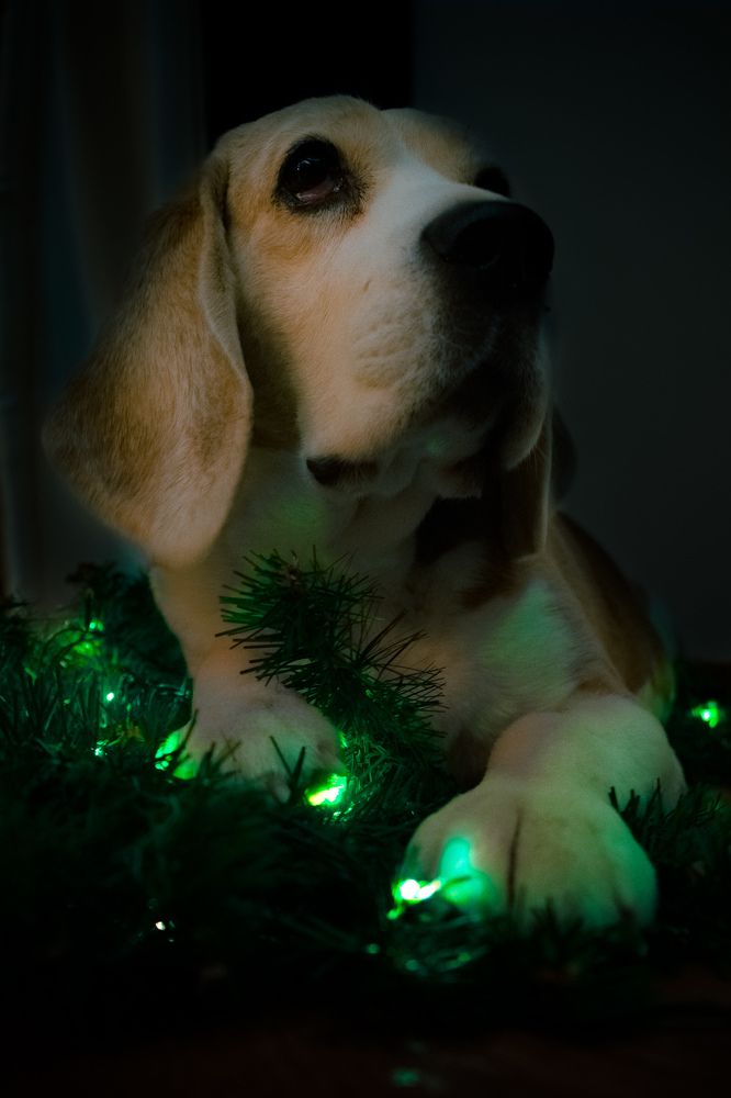 Photograph by Илья Спирин