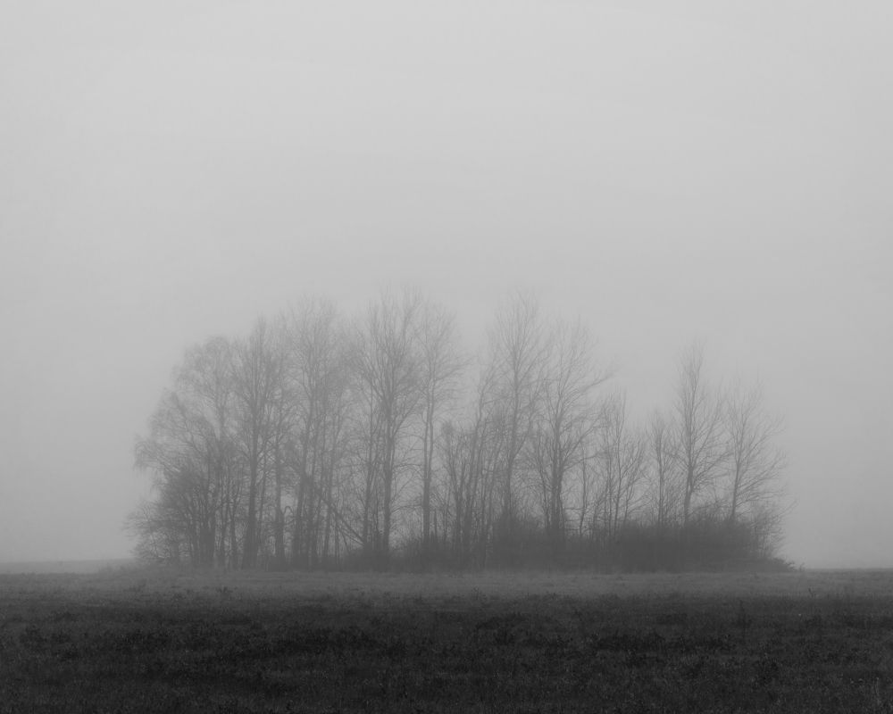 Photograph by Aliaksei Shandalin