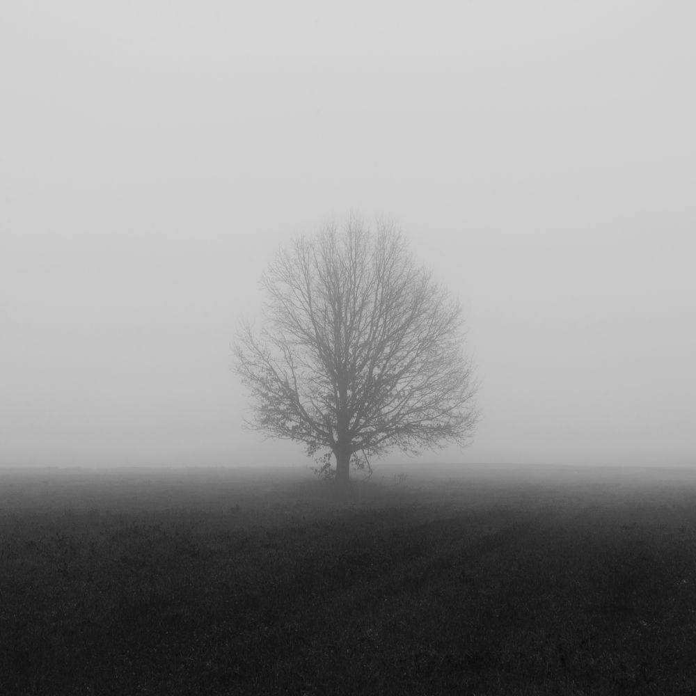 Photograph by Aliaksei Shandalin