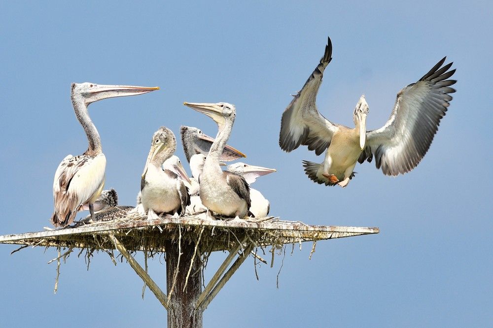 Photograph by VENKATA ARUN KUMAR SOMAYAJULA