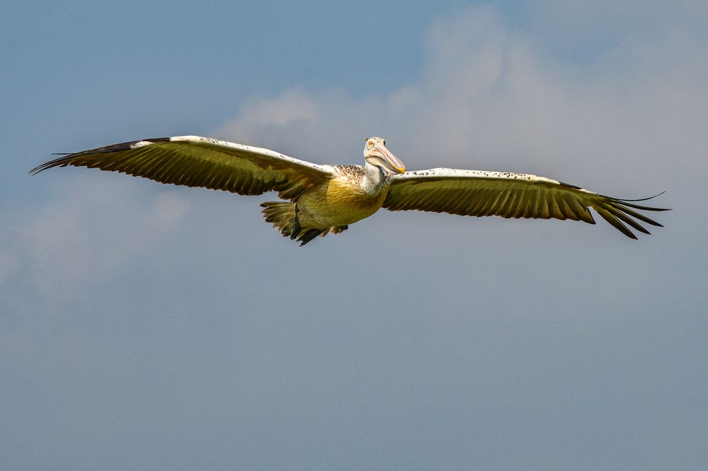 Photograph by VENKATA ARUN KUMAR SOMAYAJULA