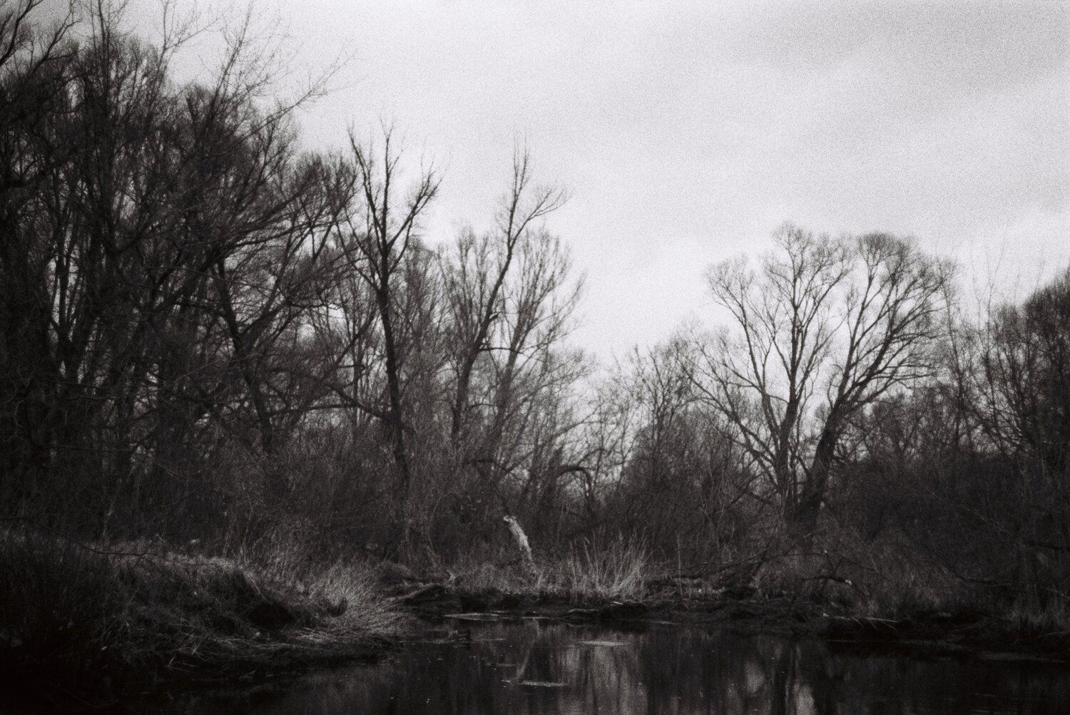 Photo #7544981