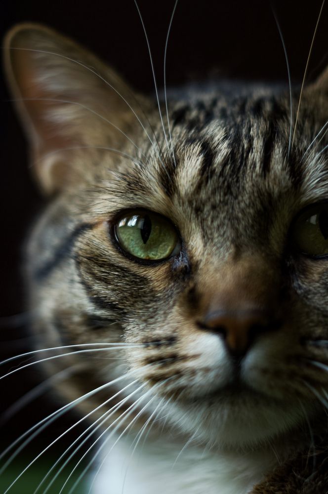 Photograph by Сергей Герасимов