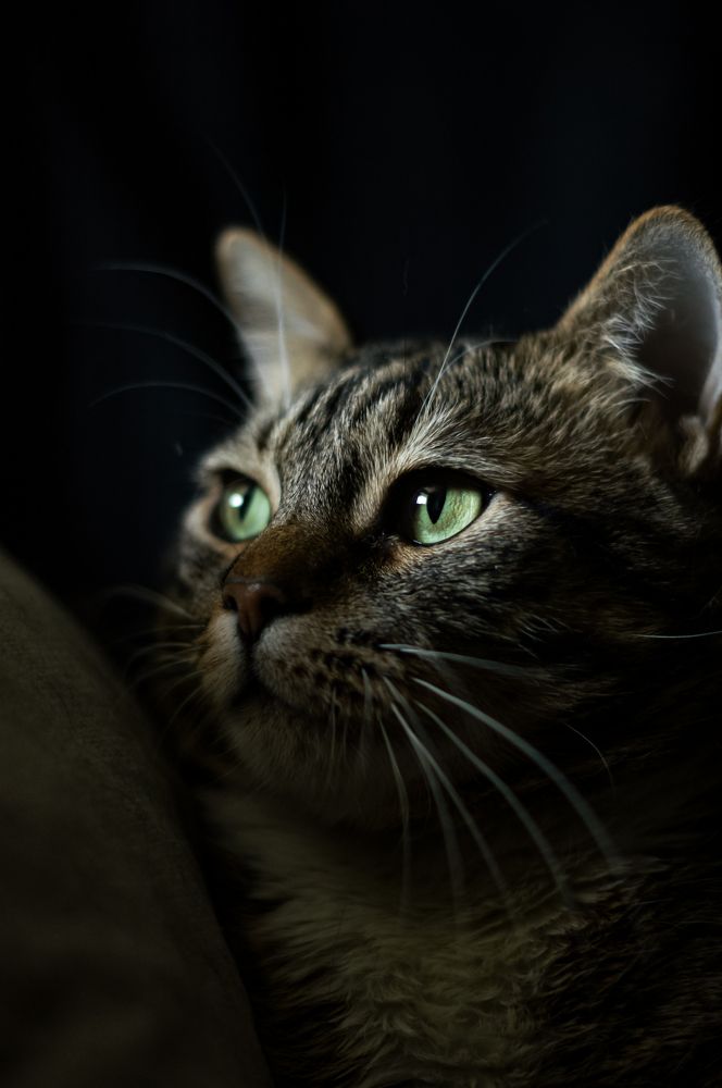 Photograph by Сергей Герасимов