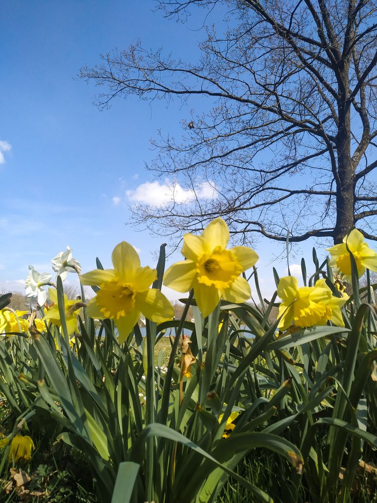 Photograph by Liubov Demchenko