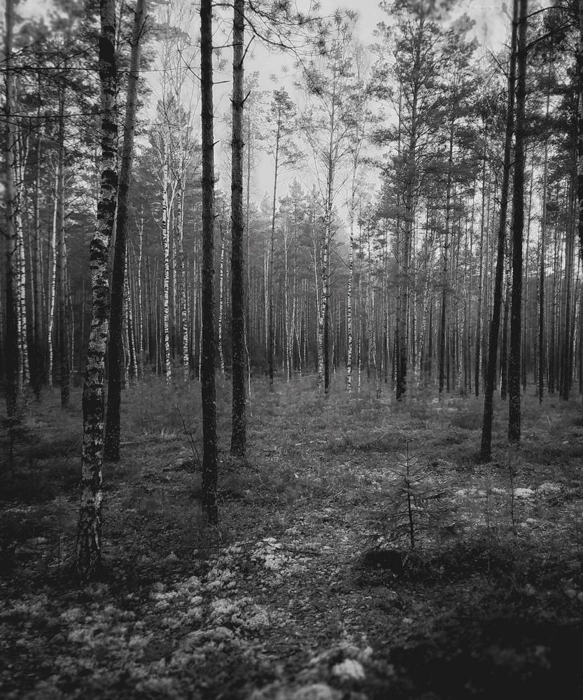 Photograph by Виктория Косинская