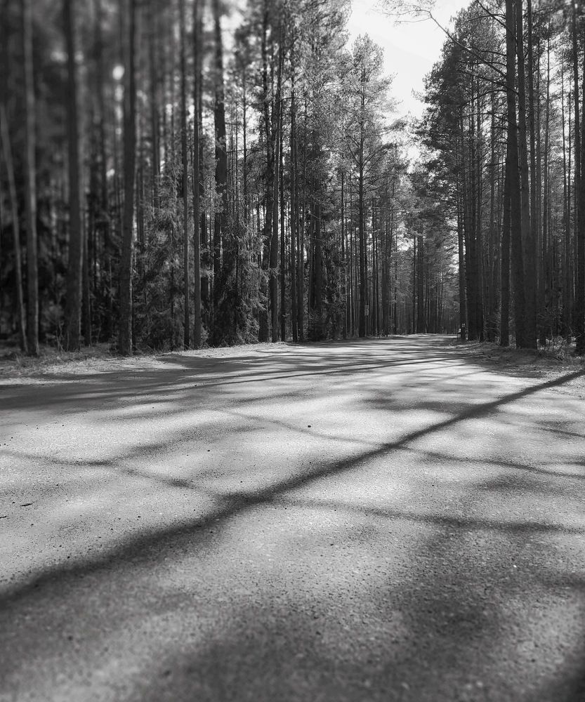 Photograph by Виктория Косинская