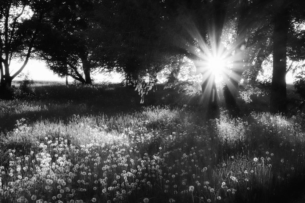 Photograph by Olga Asson