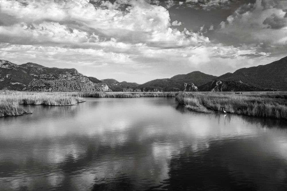 Photograph by Марина Ческис