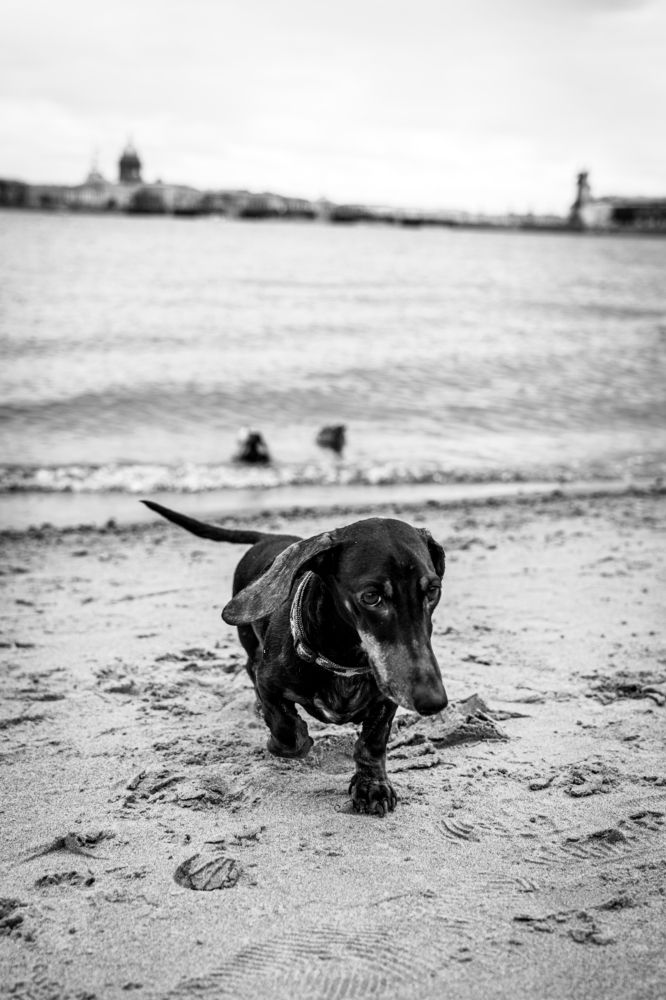 Фотография автора Alexandra Bird