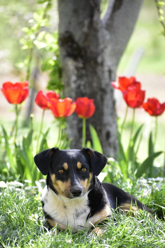 Photograph by Daniela Stanojkovska