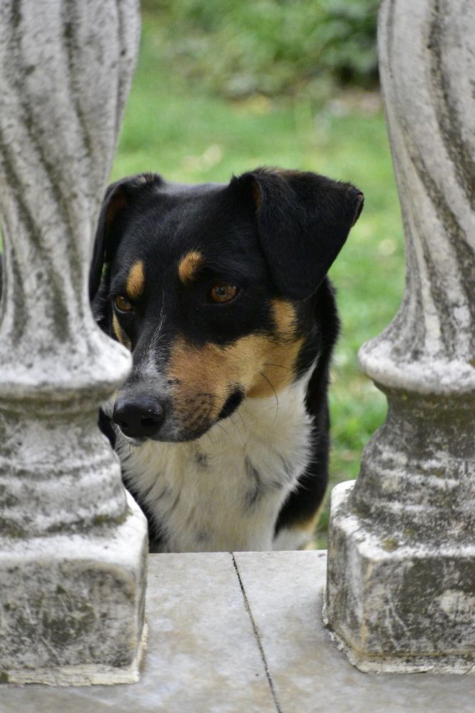 Photograph by Daniela Stanojkovska