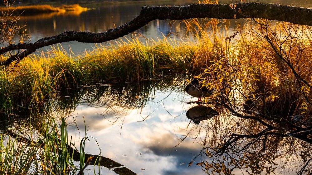 Photograph by Mahmud Tareq Hassan Khan