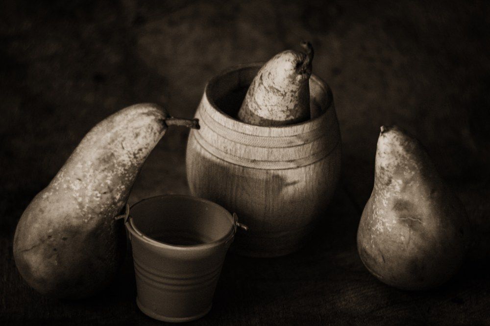 Photograph by Дарья