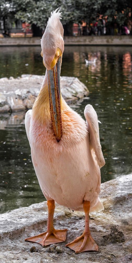 Photograph by Eimy Eldeeb