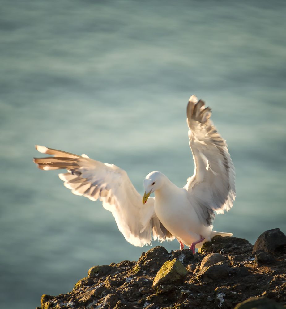 Photograph by Артем Удодов