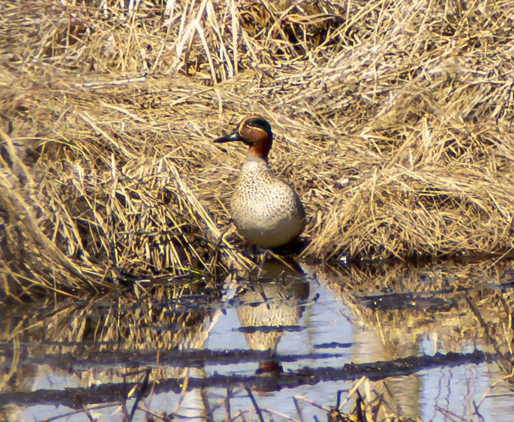 Photograph by Блохина Ольга