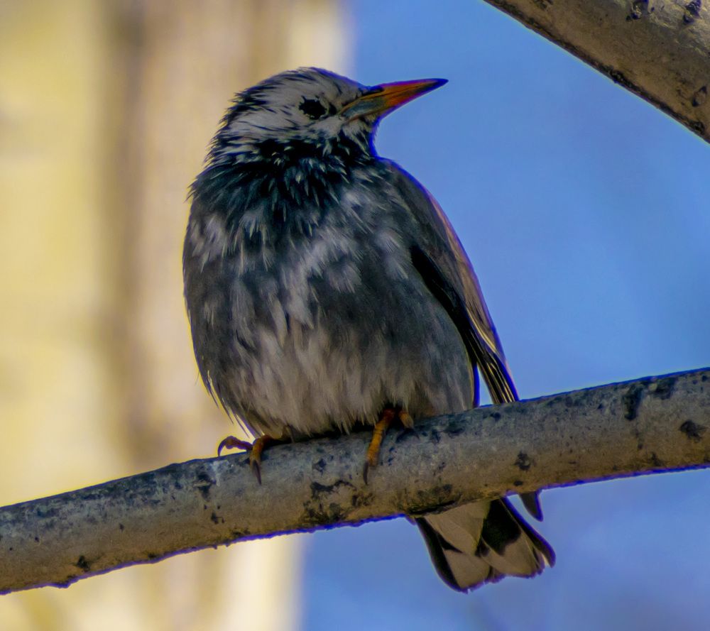 Photograph by Блохина Ольга