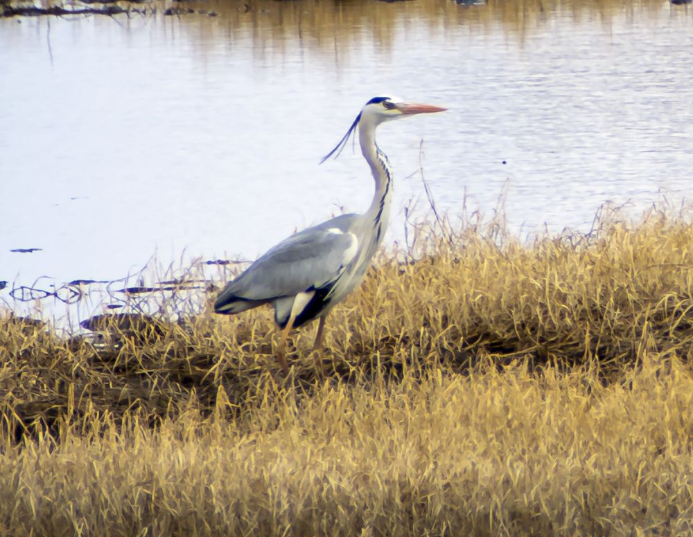 Photograph by Блохина Ольга