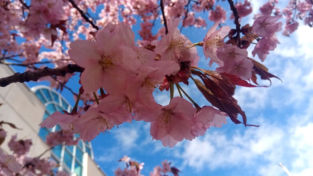 Photograph by Елена Коробкина