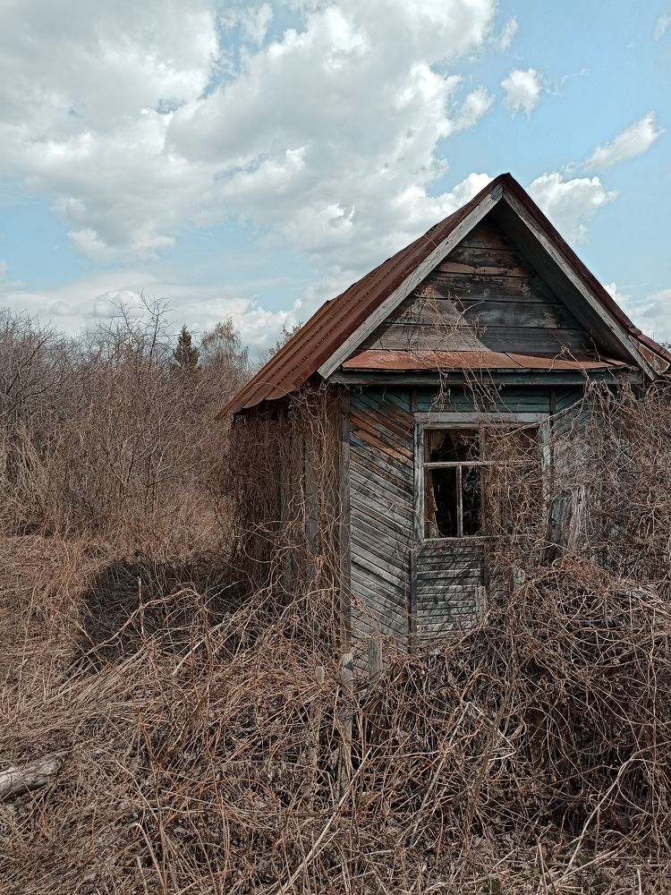 Photograph by Наталия Степанова