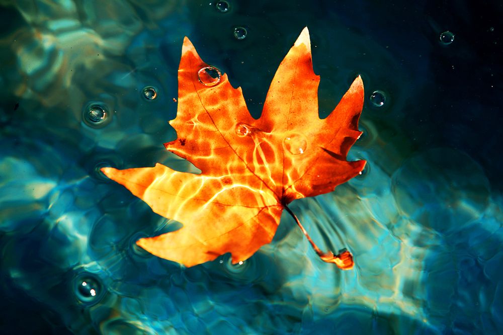 Photograph by mehdi karimi souderjani