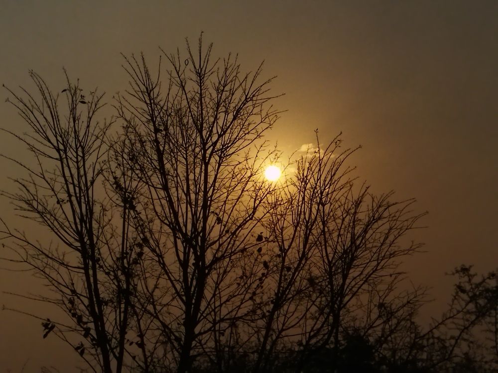 Фотография автора MEVIN