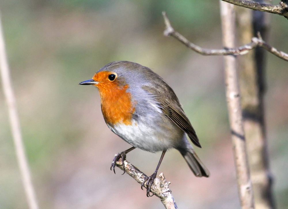 Photograph by Феденкова Татьяна