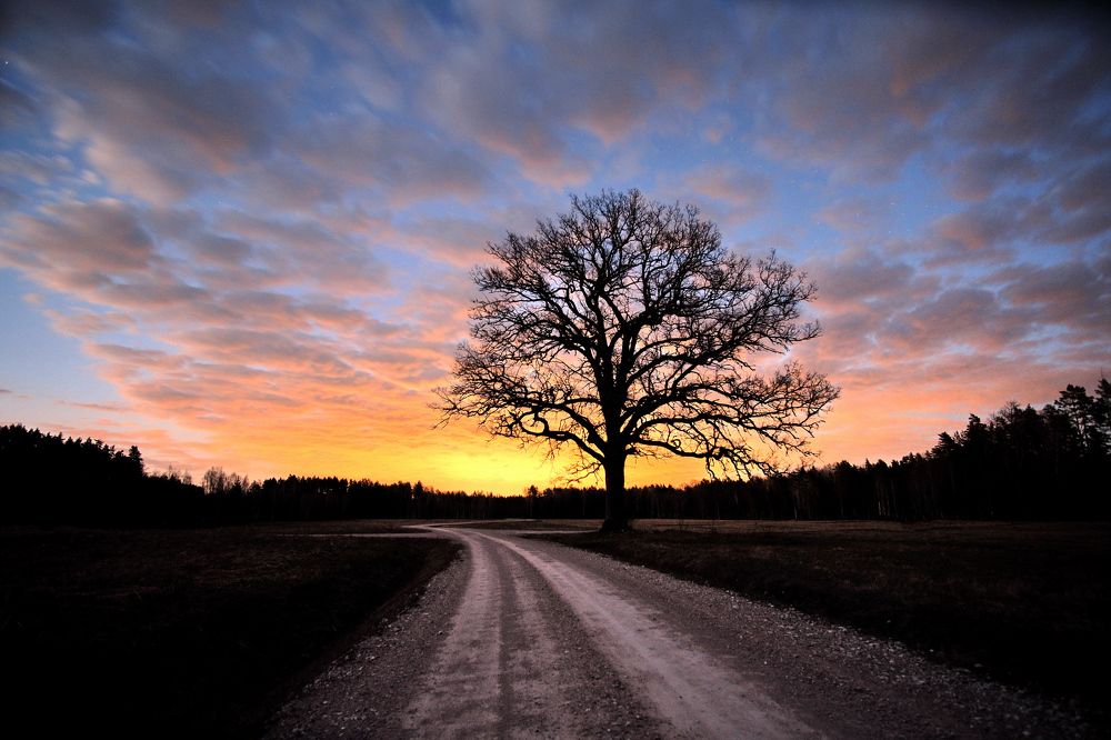 Photograph by Vitalijs Kopa