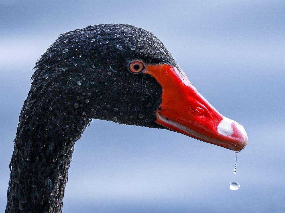 Photograph by Шевалье Татьяна