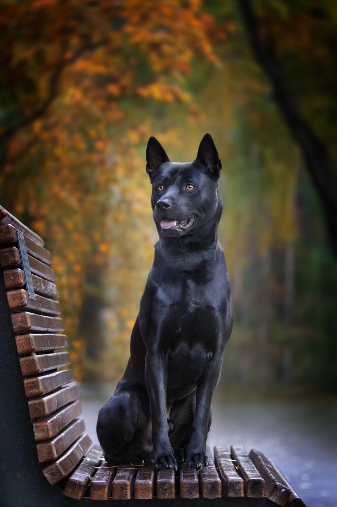 Photograph by Алена Райфутдинова