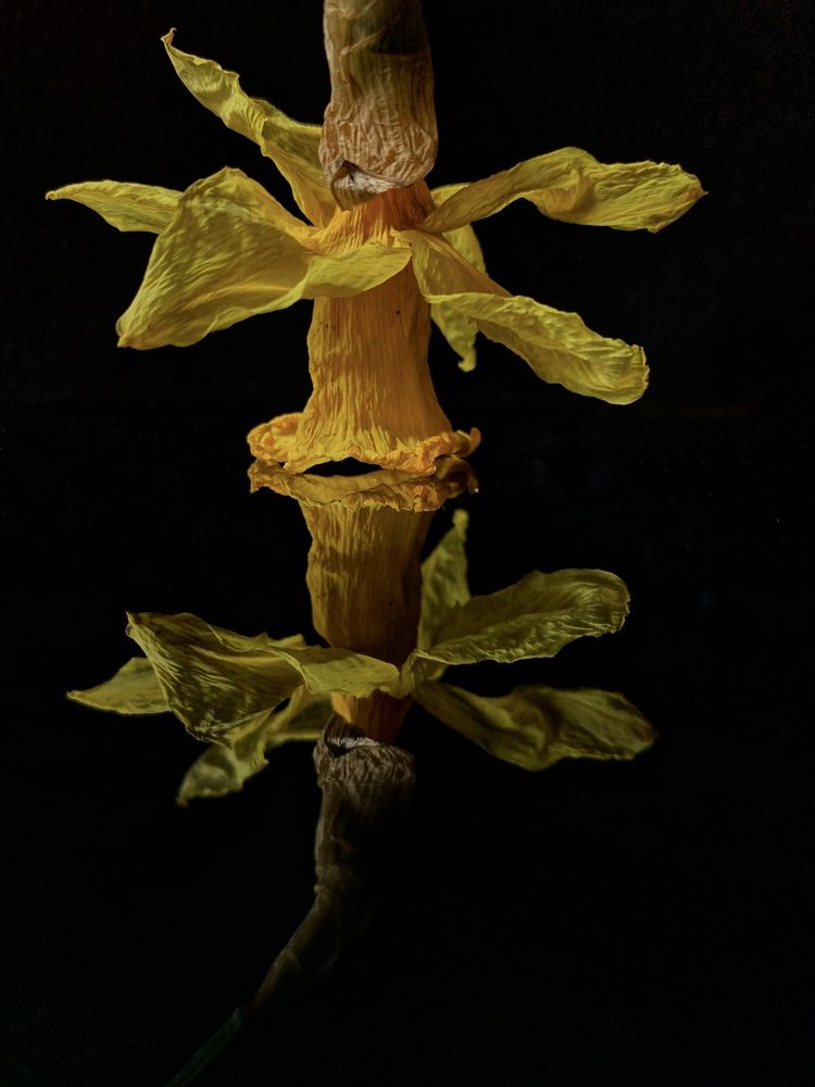 Photograph by Оксана