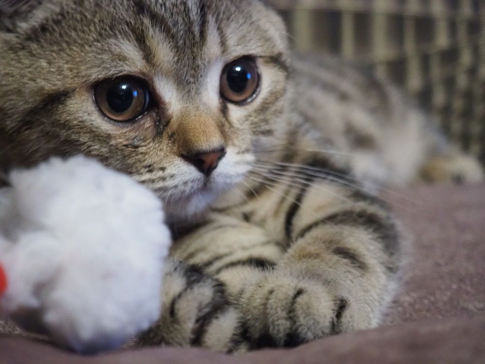 Photograph by Елена Хализова