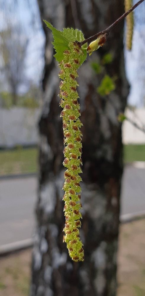 Photograph by Дмитрий Жуков