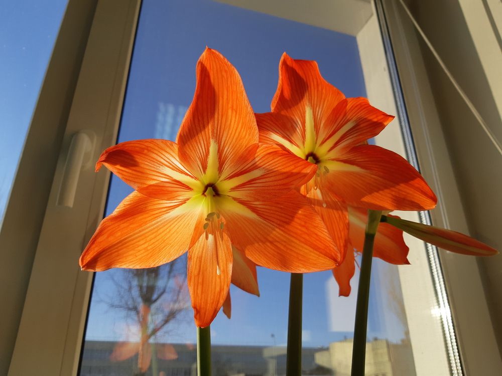 Photograph by Дмитрий Жуков