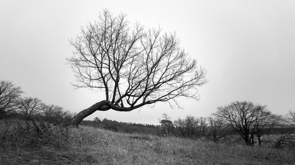 Фотография автора Мигунов Даниил