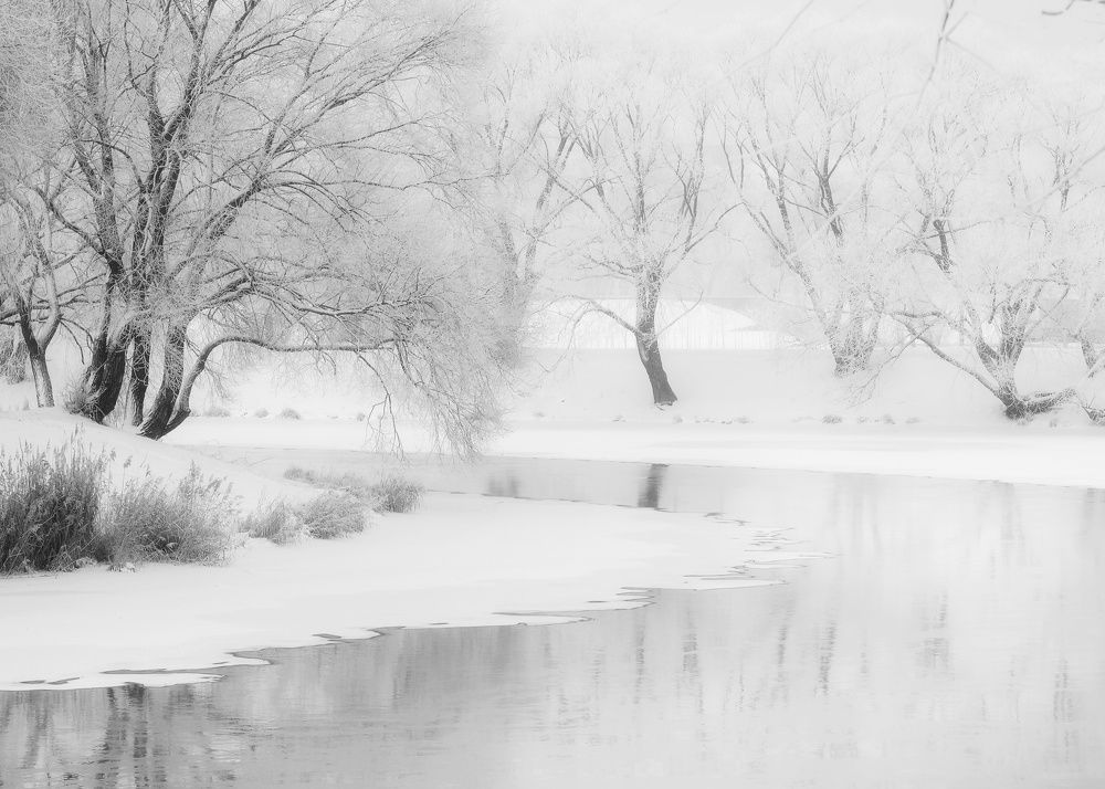 Фотография автора Андрей Врубель