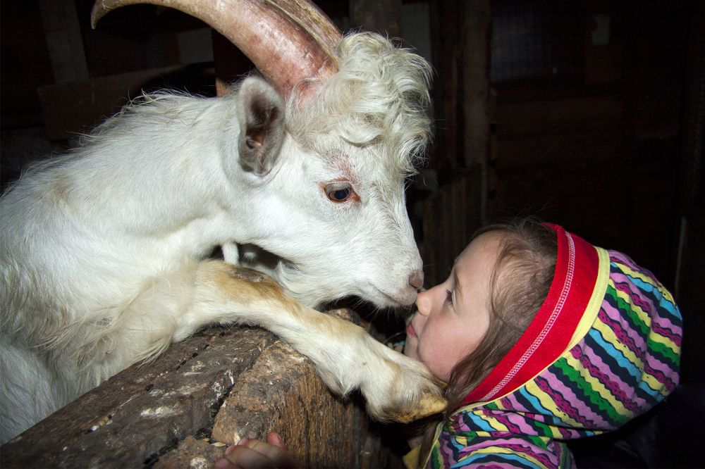 Photograph by Елена Брынько