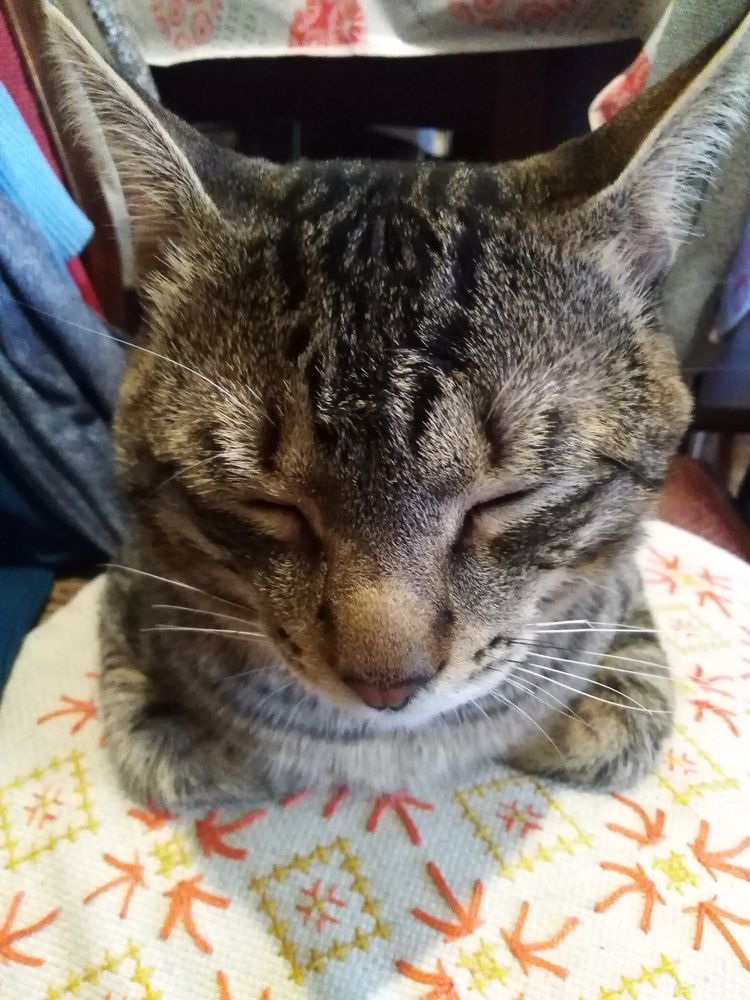 Photograph by Елена Малкова