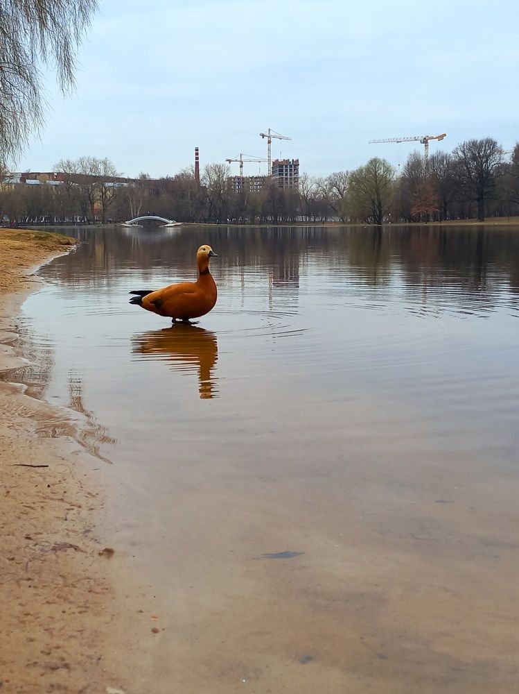 Photograph by Зоя