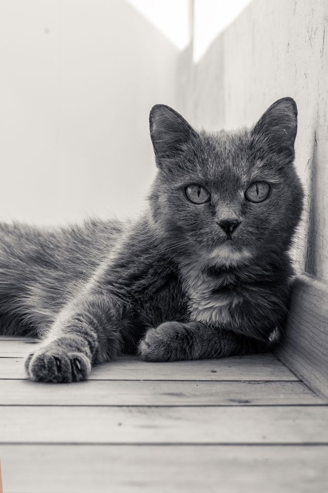 Photograph by Натали Кытманова