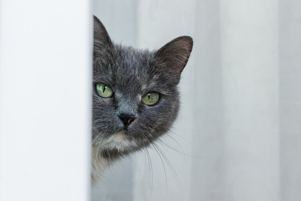 Photograph by Натали Кытманова