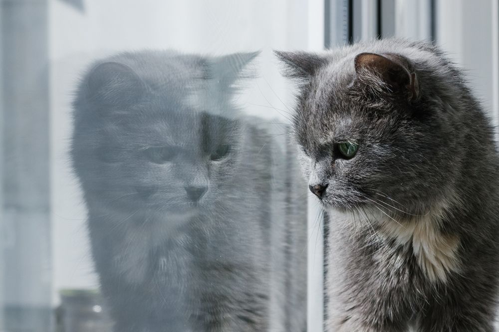 Photograph by Натали Кытманова