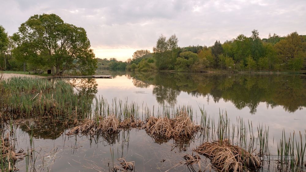Фотография автора Мигунов Даниил