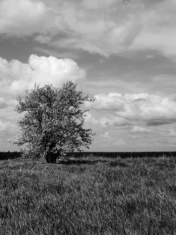 Photograph by Зоя