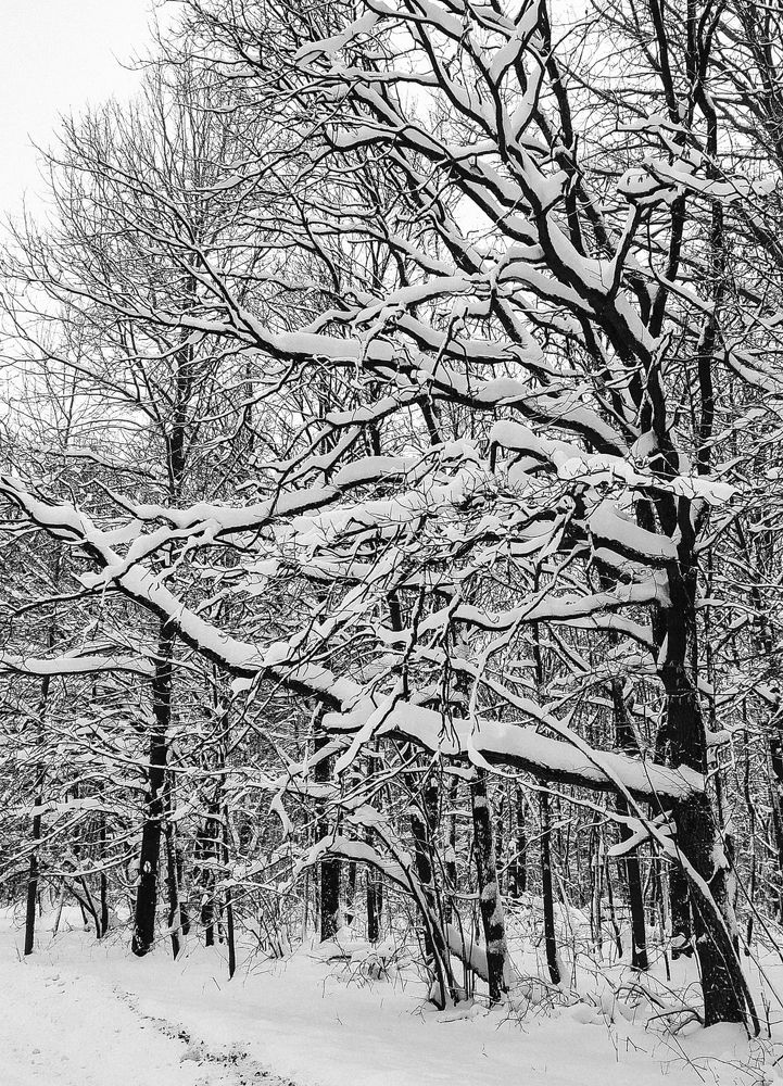 Фотография автора Наталья Агапова