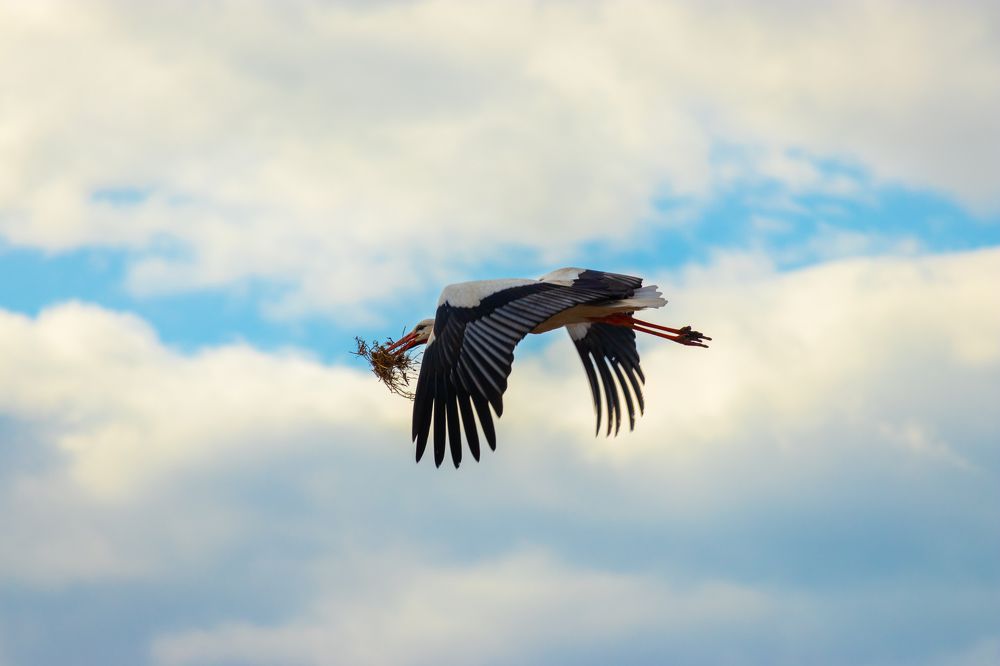 Photograph by Maksim Zhdanovich